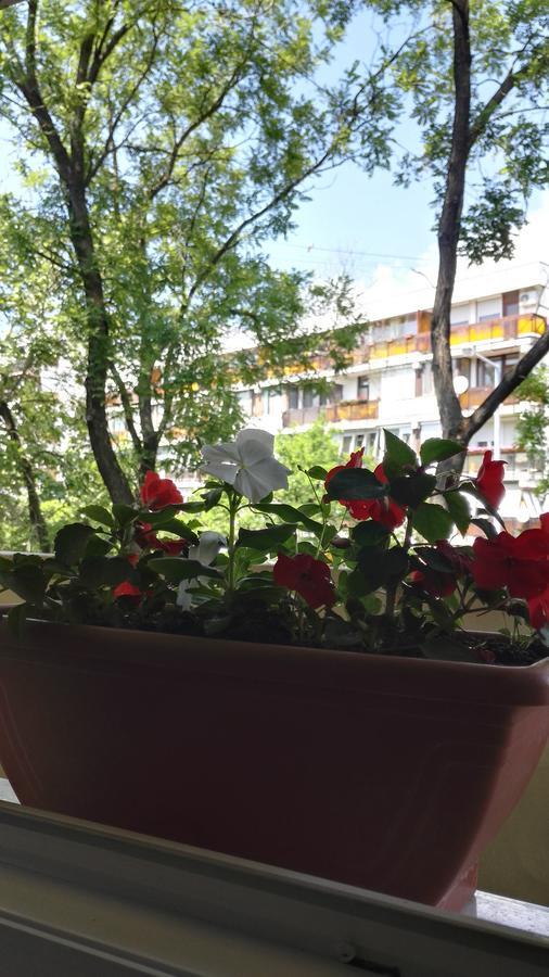 Csipke Apartman Makó 외부 사진